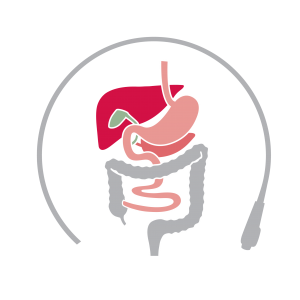 NSFs faggruppe for gastrosykepleiere - logo